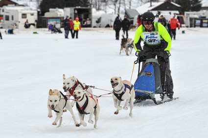 Les Fourgs, 14.02.2015, course de chiens de traineaux, Pierre Mathon. © 2015 Bobby C.Alkabes
